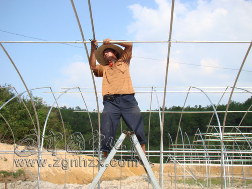 曹坊鄉綠苑農莊完成投資500萬元