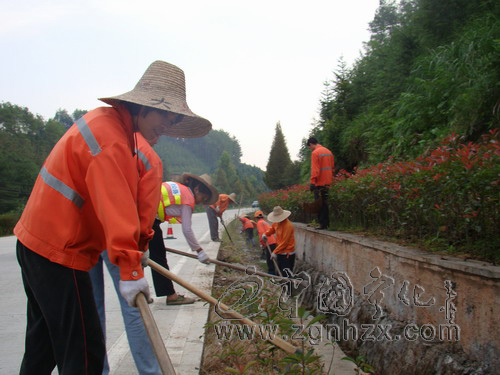 寧化89名養(yǎng)護工人國慶扮靚“綠色長廊”