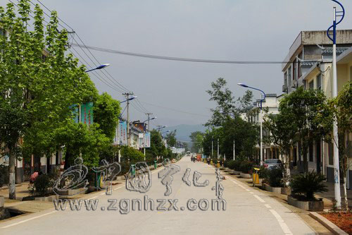 一個畬族村的變遷