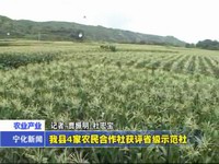 我縣4家農民合作社獲評省級示范社