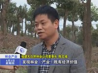 林木變搖錢樹  生態成金飯碗