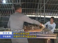 村書記異地掛職  為畬村引來農業好項目