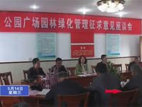 我縣征求公園廣場園林綠化管理意見