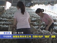 做強生育關懷工作  引導計生戶“抱團”發展