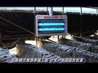 關注翠城：創新模式做強幸福工程  計生戶抱團脫貧致富