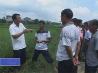 河龍貢米種植戶精準“充電”