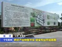 抓好產業轉型升級  建設專業市場商圈