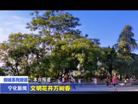 文明花開萬樹春