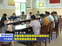 市委常委林能秋到湖村鎮(zhèn)鄧坊村指導專題組織生活會