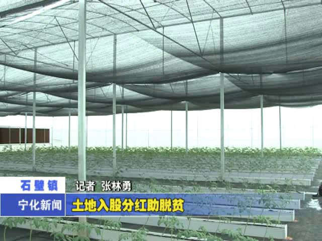 土地入股分紅助脫貧