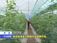我縣精準發力助推農業發展升級