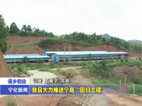 我縣大力推進寧商“回歸工程”