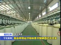 我縣兩項經濟指標首次突破百億元大關