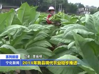 2014年我縣現代農業穩步推進