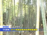 2014年我縣集體林改初顯成效