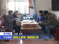 微信上賣蜜 銷量超3噸