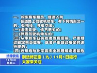 刑法修正案（九）11月1日施行