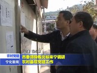 市委領導陳炎標來寧調研農村基層黨建工作