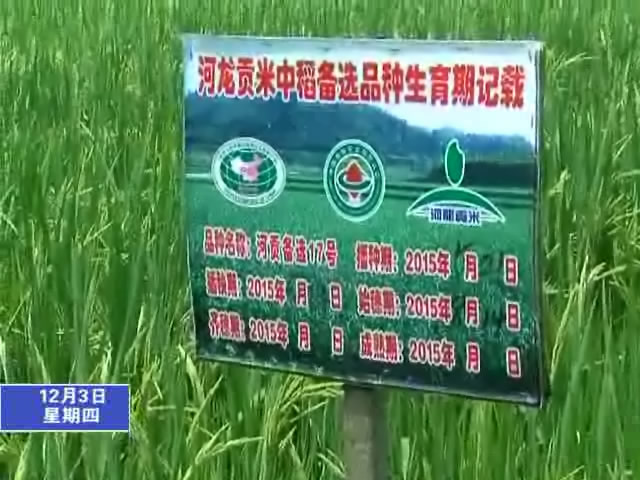 河龍貢米入選我市首批農特產品十大龍頭品牌