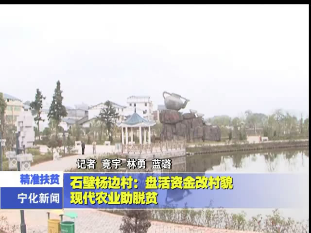 石壁楊邊村：盤活資金改村貌 現代農業助脫貧