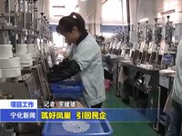 筑好鳳巢 引回民企