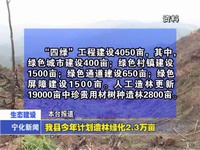 我縣今年計劃造林綠化2.3萬畝