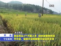 我縣將從4個(gè)方面入手，加快發(fā)展特色現(xiàn)代農(nóng)業(yè)、設(shè)施農(nóng)業(yè)和新型農(nóng)業(yè)經(jīng)營(yíng)主體