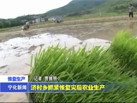 濟(jì)村鄉(xiāng)抓緊恢復(fù)災(zāi)后農(nóng)業(yè)生產(chǎn)