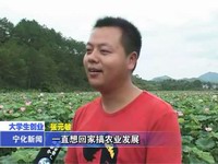 張元敏：回鄉務勞 種植蓮子