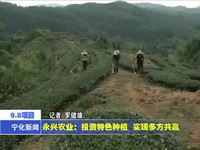 永興農業：投資特色種植 實現多方共贏