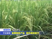 發展特色產業 提升增收能力