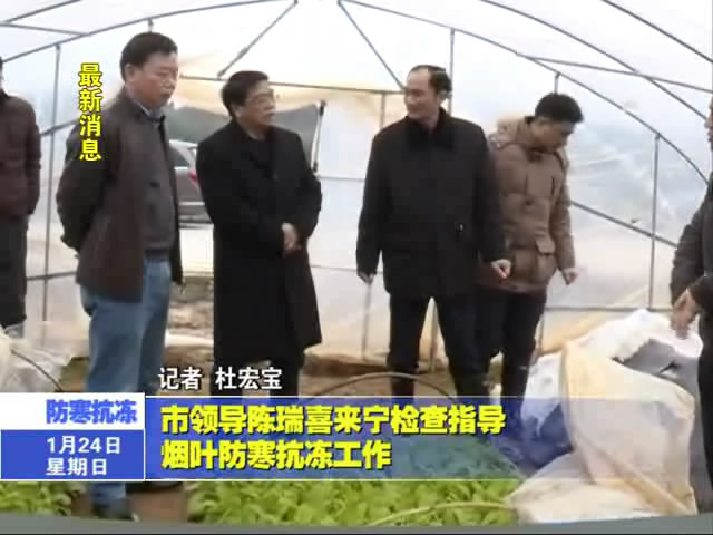 市領導陳瑞喜來寧檢查指導煙葉防寒抗凍工作