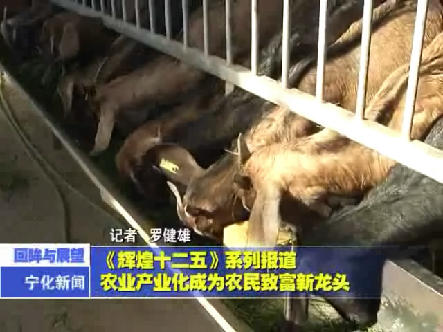 《輝煌十二五》系列報(bào)道：農(nóng)業(yè)產(chǎn)業(yè)化成為農(nóng)民致富新龍頭