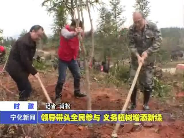 領導帶頭全民參與 義務植樹增添新綠