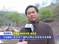 張清茂：回鄉發展 爭當領頭羊