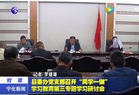 縣委辦黨支部召開“兩學一做”學習教育第三專題學習研討會