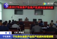 寧化舉辦油茶產業高產優質科技培訓班