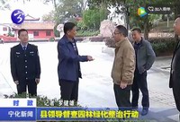 縣領導督查園林綠化整治行動