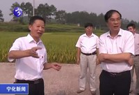 市政協副主席率調研組來寧調研