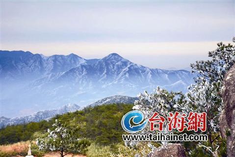 泉州寒潮來襲氣溫驟降 德化霧凇美麗“凍”人