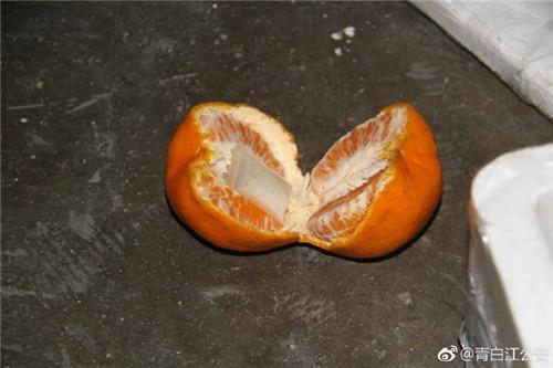 男子通過橘子縫塞進毒品 被快遞小哥識破