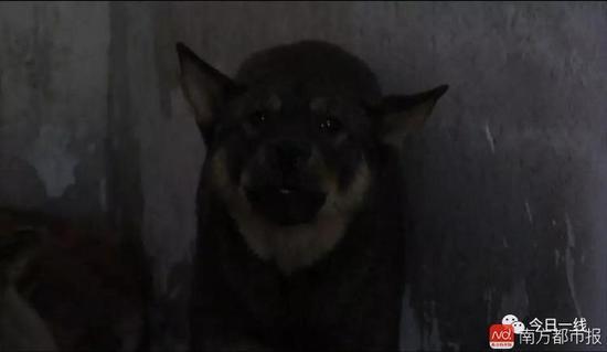 現場還發現了大量賬本，