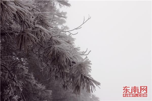 冬日添美景 三明多地降雪現霧凇冰掛 