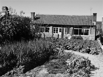 王磊家。 遼沈晚報、聊沈客戶端首席記者 呂洋 攝