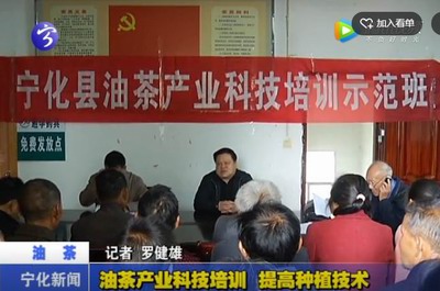 油茶產業(yè)科技培訓 提高種植技術