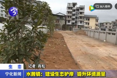 水茜鎮：建設生態護岸  提升環境質量