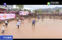 陳塘村鬧春田迎新春