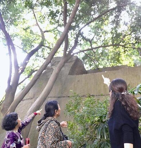 廈門一中年男子想上吊 兩小伙攀懸崖救下