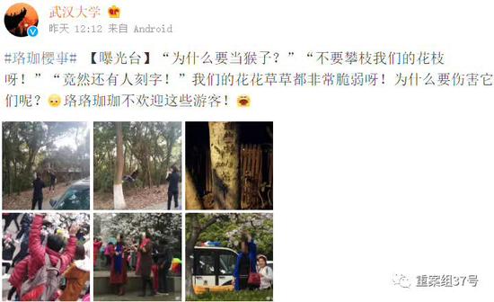 ▲3月16日，武大微博“曝光臺”曝光不文明行為。&nbsp;&nbsp;&nbsp;&nbsp;圖片來源/武漢大學官方微博