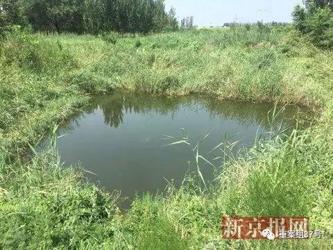 ▲發(fā)現(xiàn)李文星尸體的水坑。新京報(bào)記者 李明 攝